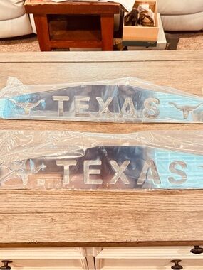 Texas Stainless Steel License Plate Topper - Pair